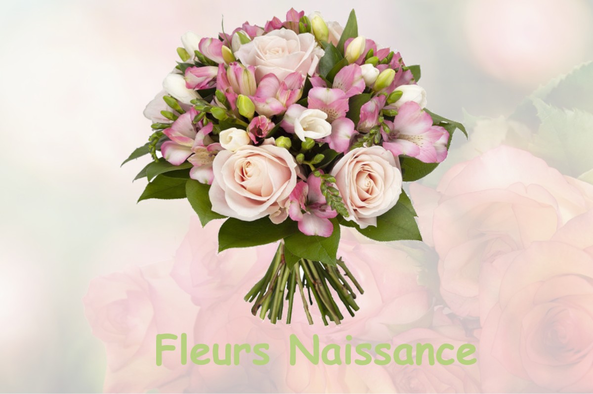 fleurs naissance LION-EN-BEAUCE