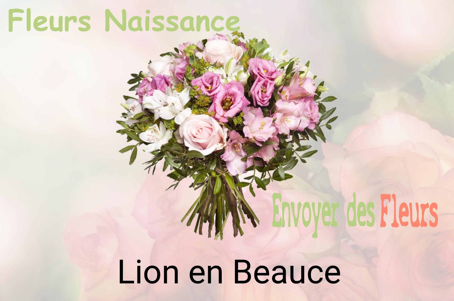 Bouquet de fleurs de naissance livré à Lion-en-Beauce