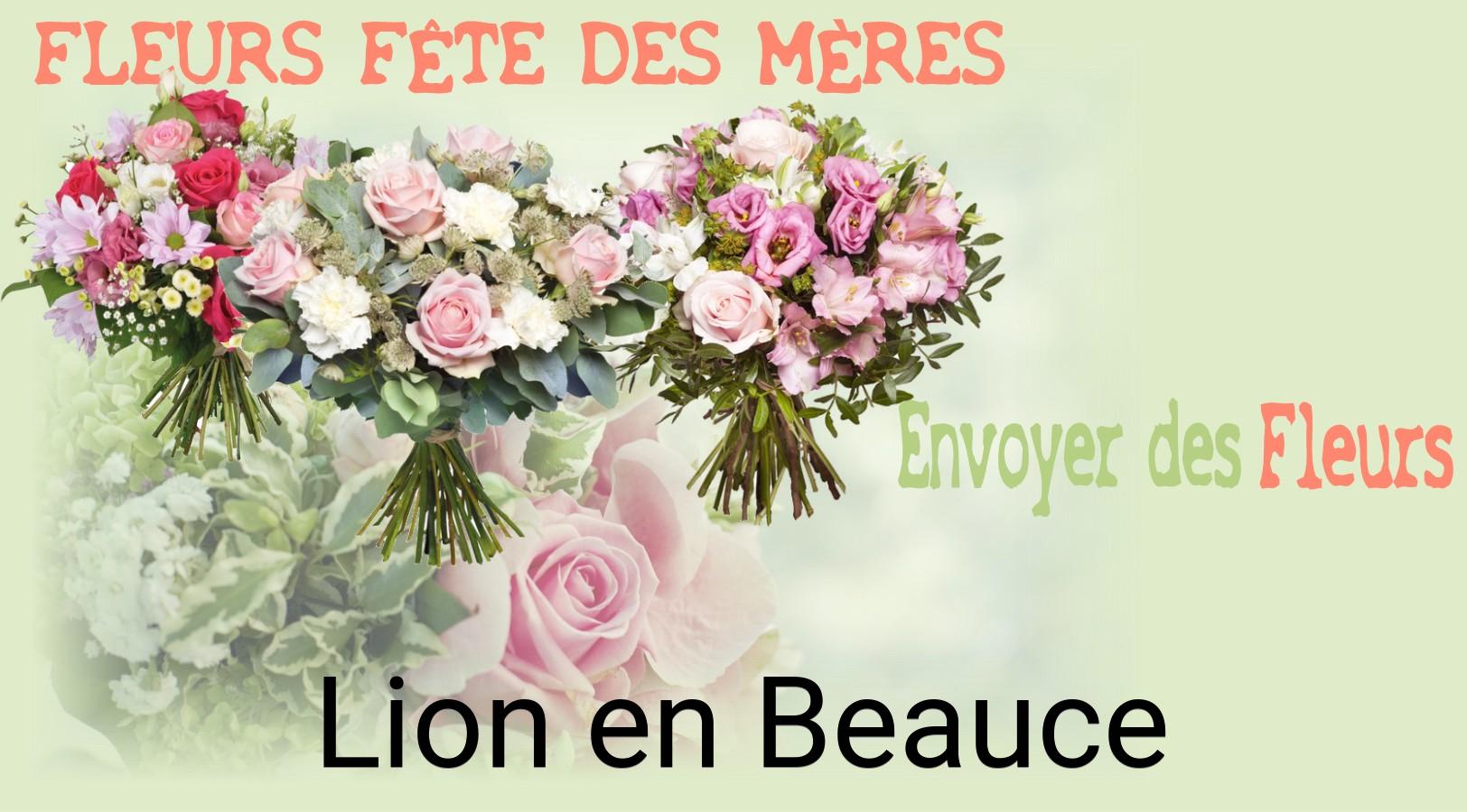 Bouquet de Fête des Mères livré à Lion-en-Beauce
