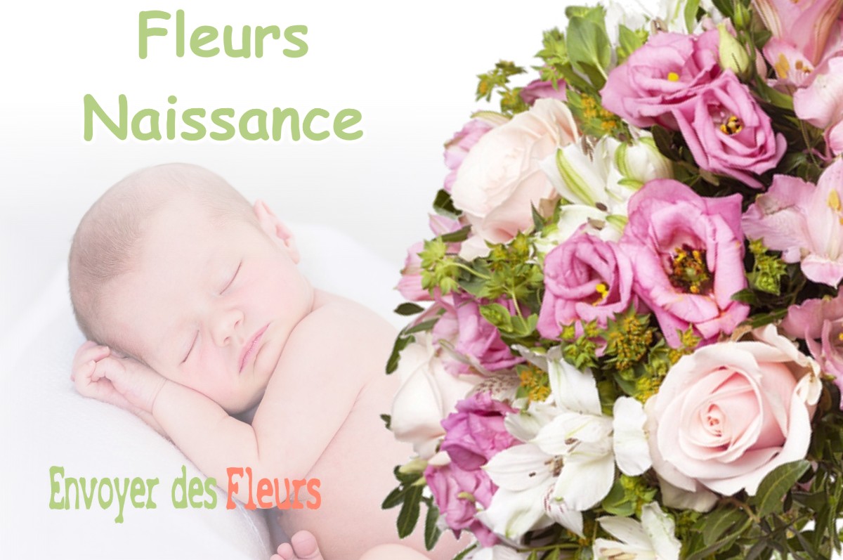 lIVRAISON FLEURS NAISSANCE à LION-EN-BEAUCE